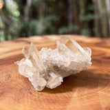 Golden Healer Crystal / Rare No.1