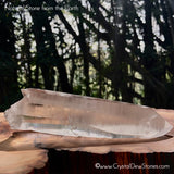 Lemurian Seed Dow Clear Quartz Crystal