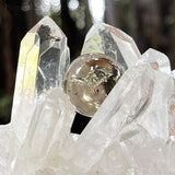 Clear Quartz  / Smoky Quartz