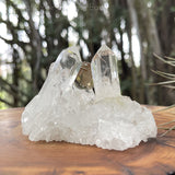 Clear Quartz  / Smoky Quartz