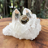 Clear Quartz  / Smoky Quartz