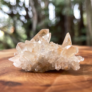 Golden Healer Crystal / Rare No.1