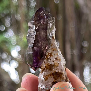 Amethyst Smoky Clear Scepter / New Find