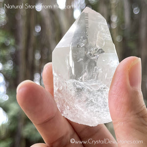 Lemurian Seed Clear Quartz Crystal No.1