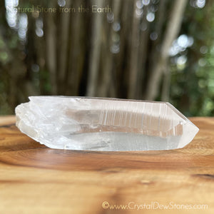 Lemurian Seed Clear Quartz Crystal No.2